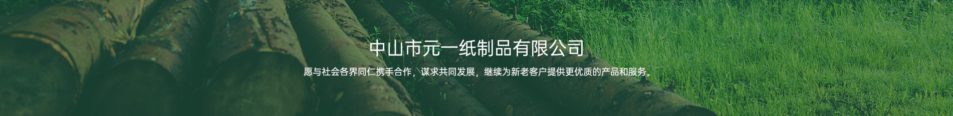 中山麻豆传媒在线免费观看一纸制品